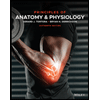 Principles-of-Anatomy-and-Physiology---WileyPlus, by Gerard-J-Tortora - ISBN 9781119662716